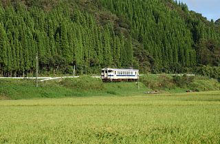 表木山〜嘉例川間にて(おまけ)