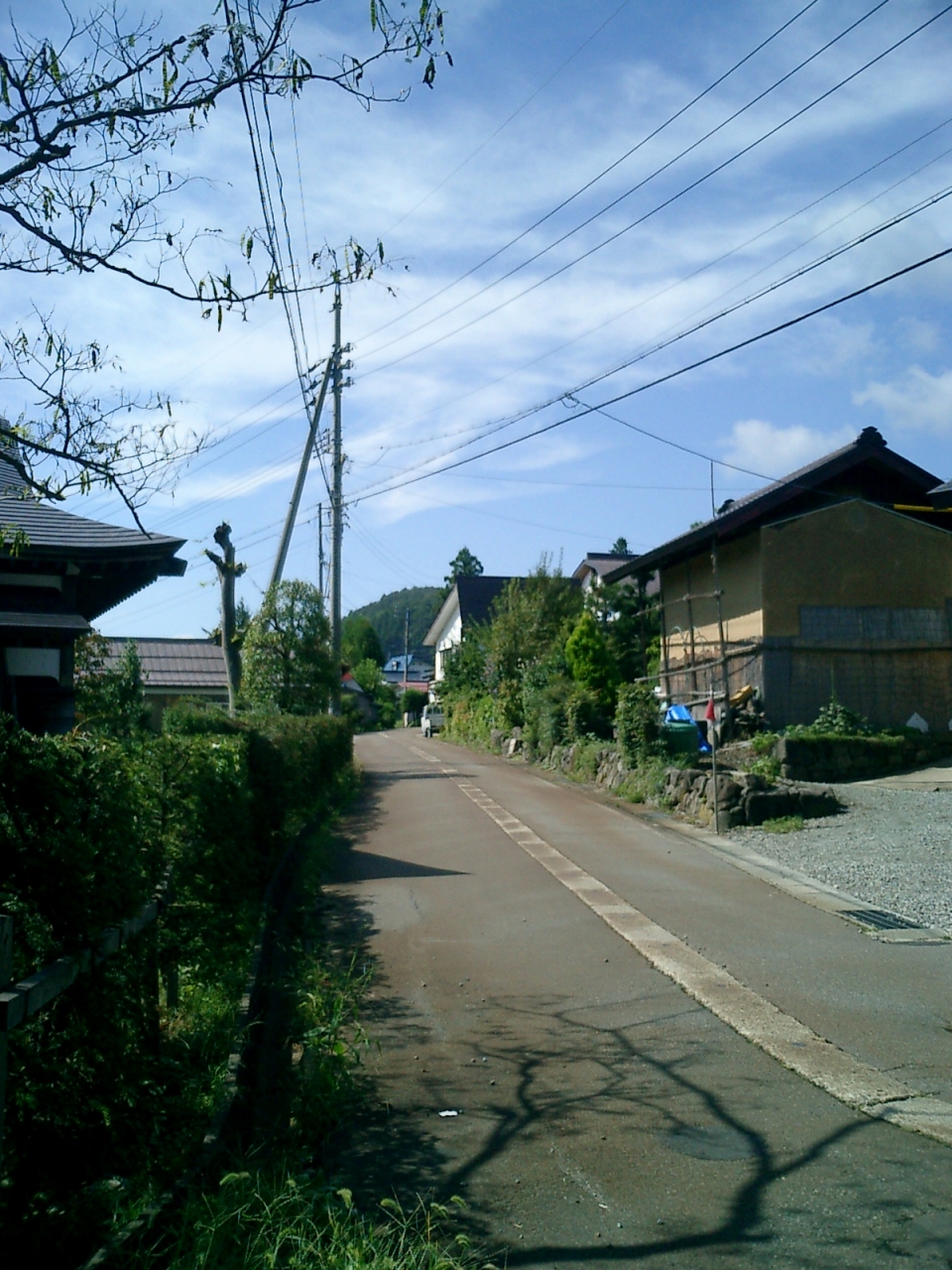 20100918_3.jpg