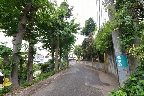 木立 木立